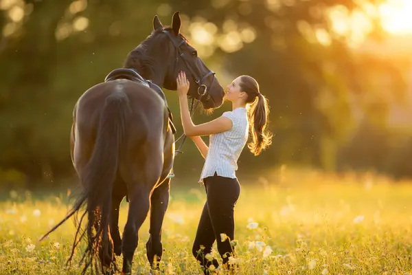 What does the horse say when a human greets him by saying hey?