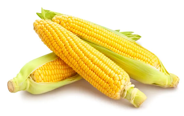 What did the grandpa corn say to his grandson?