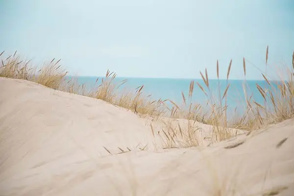 What is sand's favorite movie?