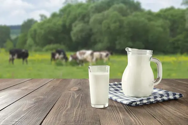 What's the best way to keep milk from turning sour?