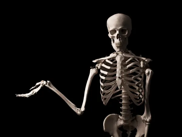 Why can't skeletons play music at a church?