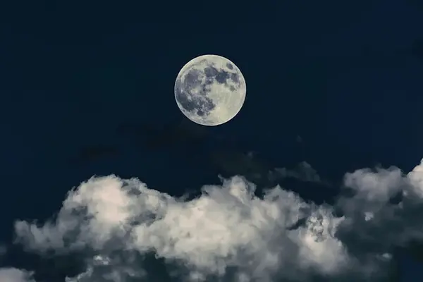 Did you hear about the restaurant on the moon?