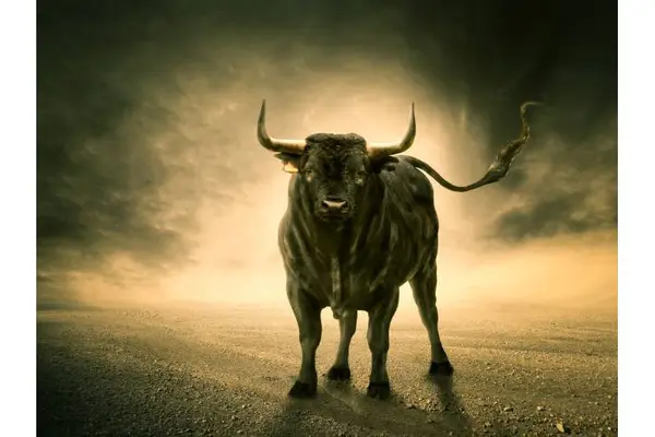 What do you call a sleeping bull?