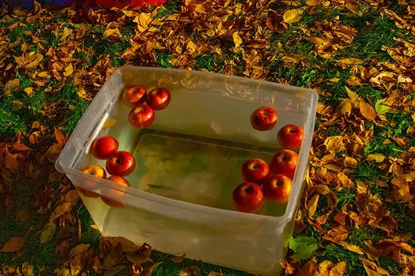 What animal won the bobbing for apples contest at the fair?