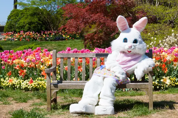 Why is the Easter Bunny so lucky?