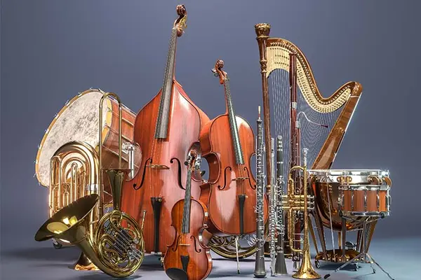 What part of the orchestra do rhinos play in?