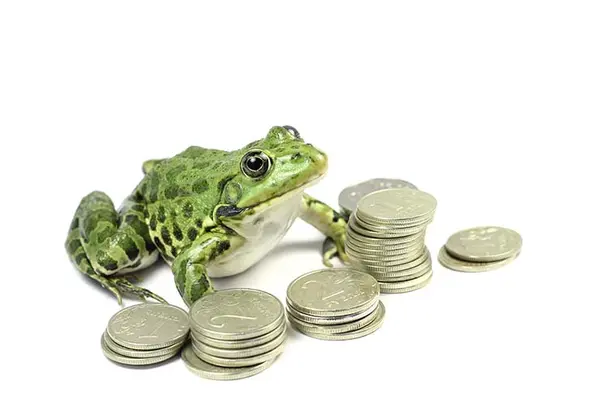 Where do frogs keep their money?