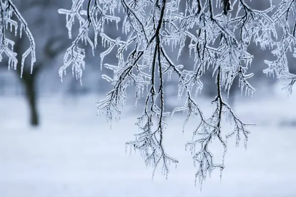 You have to be very careful in an ice storm.