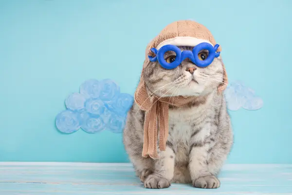 14 Aviation Jokes That Will Have You Rolling Down the Runway