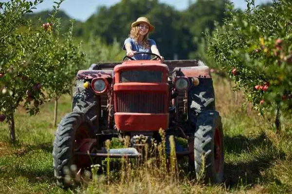 How do you get a country girl to like you?