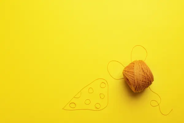 What kind of cheese can you sew with?