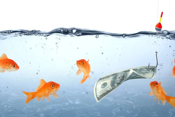 To whom do fish go to borrow money?