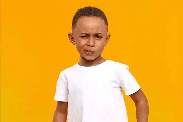 What do you call penguins and polar bears?