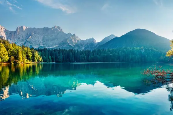 Who loves the lake but refuses to get wet?