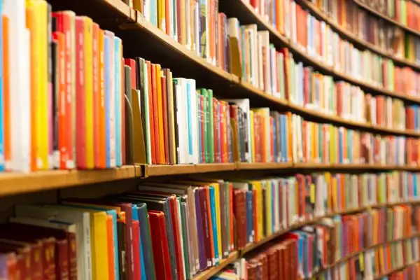 What color are all the books in the library?