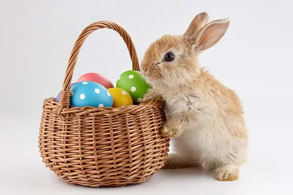What does the Easter Bunny call the act of leaving his eggs all over?